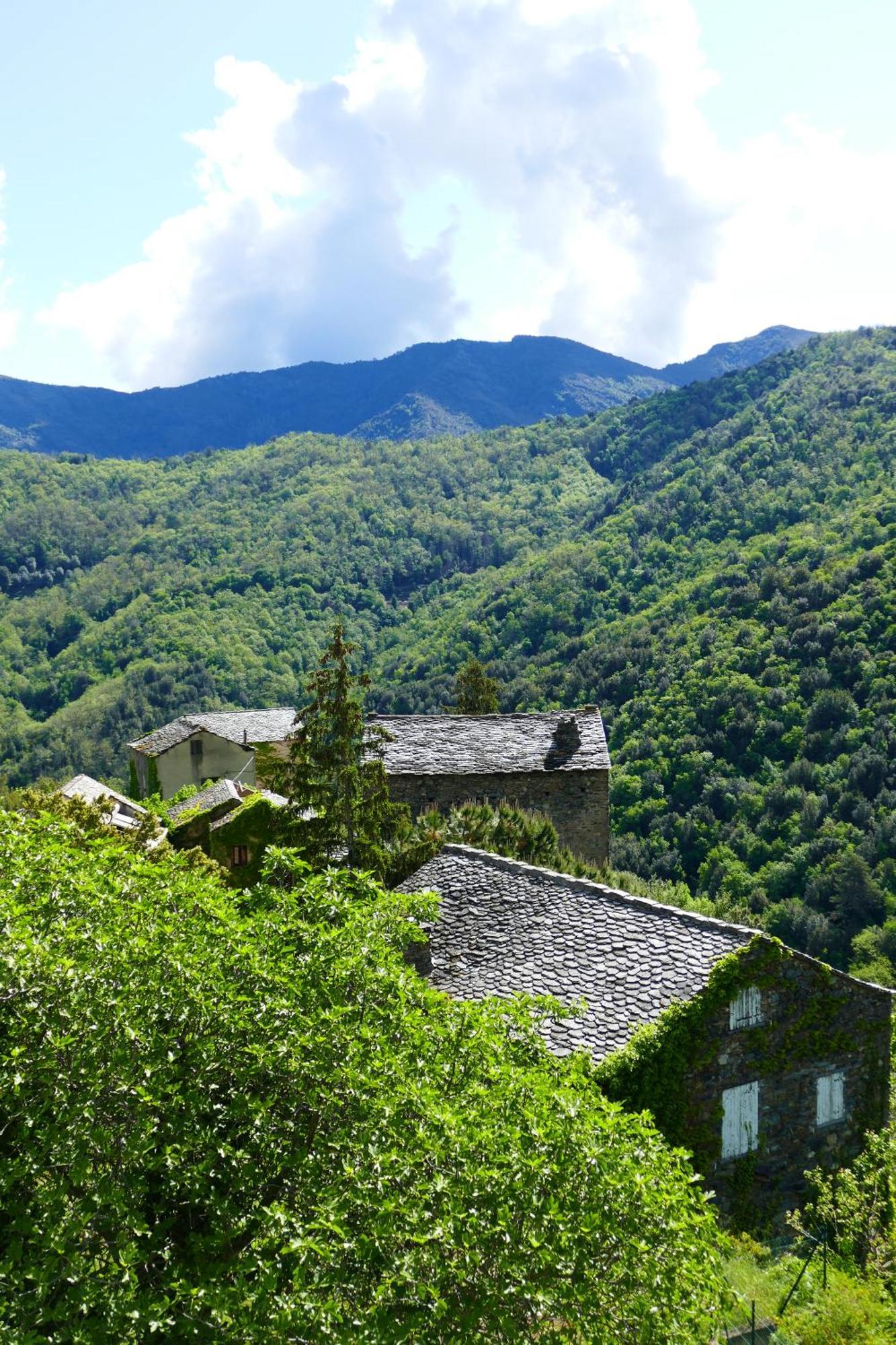 Bed and Breakfast Casa Surgente Carcheto Екстер'єр фото